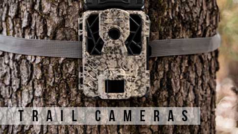 trail cameras